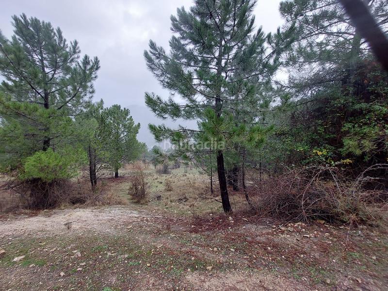 Foto f191bc54-c09b-4dcb-92d7-aa045d8aea29. Propriété dans poyo gabino s/n dans Iruela (La)