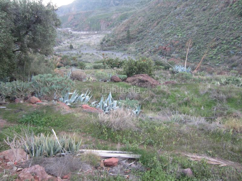 Foto 30cae2c5-90a6-41cd-abde-7190d4f0b1cf. Finca rústica a Santa Lucía de Tirajana interior Santa Lucía de Tirajana