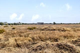 Terreny residencial a Pol industrial ctra de palma del rio manzana f s/n. Terreno en venta