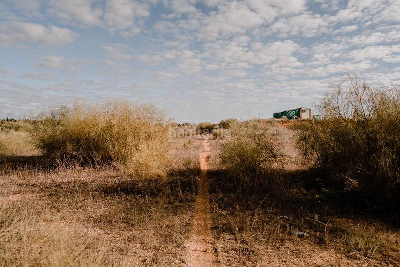 Foto 14fc6988-0827-421b-8e04-c0ea8568db47. Wohngrundstück in valdepegas norte vpo s/n in Lepe