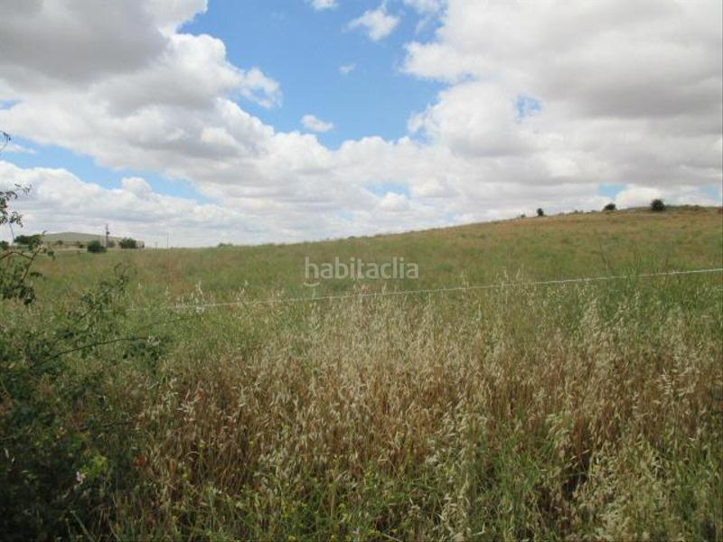 Foto 12ed7418-0e50-4fe4-a841-046c47d62d3a. Terreno residenziale in 15-16 s/n in Horche