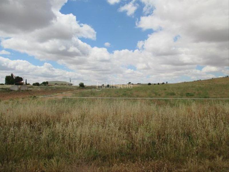 Foto 5f2c69dd-361e-4002-9f30-8ab2ccea312c. Terreno residenziale in 15-16 s/n in Horche