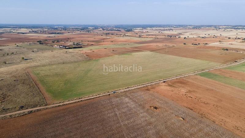 Foto 877d40c7-b524-49af-b6ff-3b4695cb663d. Terreno residenziale in 15-16 s/n in Horche