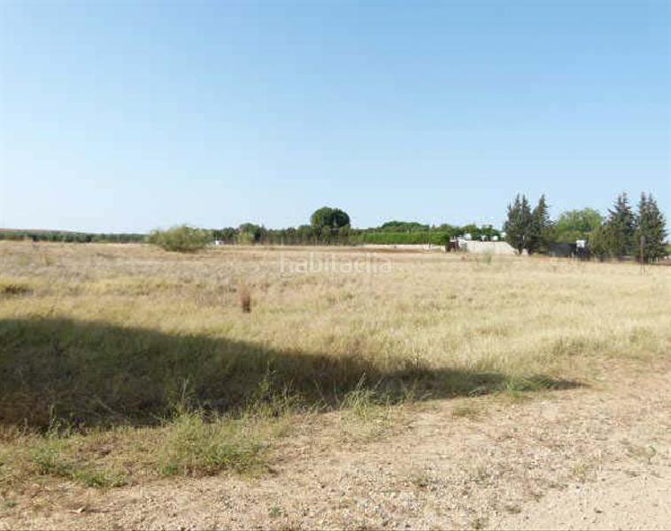 Foto 2a0c96c5-1294-48ca-ac0a-29169cccd454. Terreny residencial a Centro - Doña Mercedes Dos Hermanas