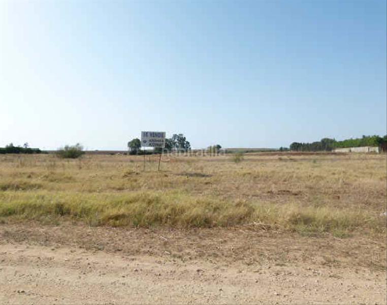 Foto 821ab615-9715-4534-9497-55880bf7181d. Terreny residencial a Centro - Doña Mercedes Dos Hermanas