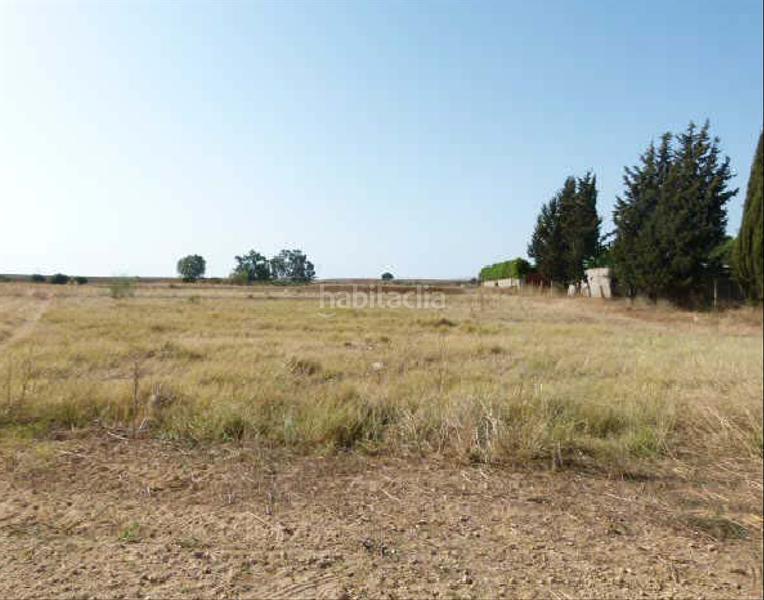 Foto f40fee15-7f64-4ee4-8952-642a37f35513. Terreny residencial a Centro - Doña Mercedes Dos Hermanas