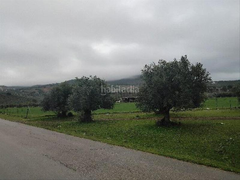 Foto 06092353-26cc-4eca-9668-042616a885e4. Wohngrundstück in Puerto Serrano