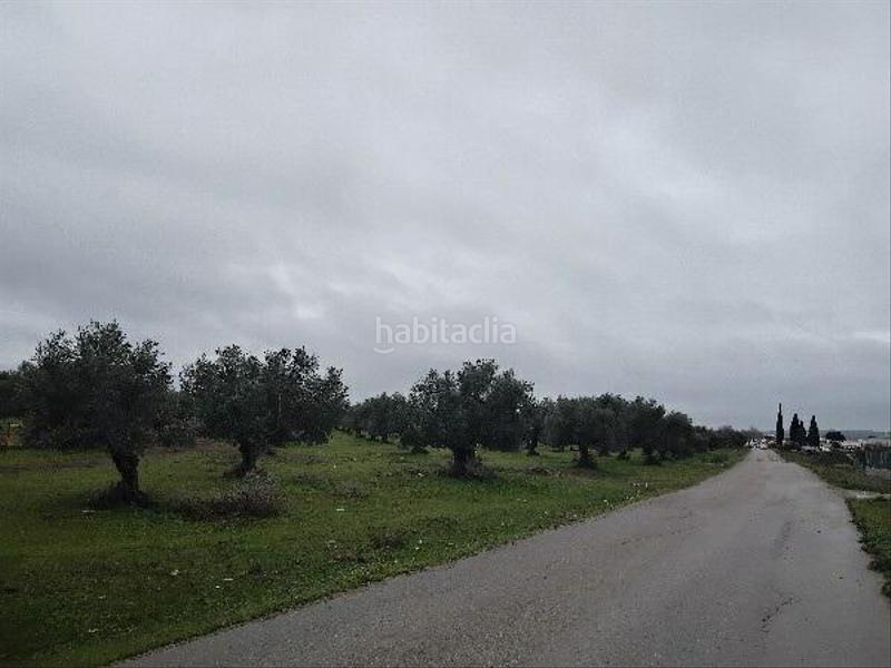 Foto 37fa1fc2-cc44-4b72-8982-d075e96a3c1d. Wohngrundstück in Puerto Serrano