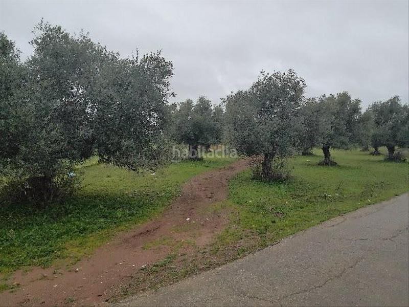 Foto 6b7ad68a-e269-472b-9801-ffe8a6dfc918. Wohngrundstück in Puerto Serrano