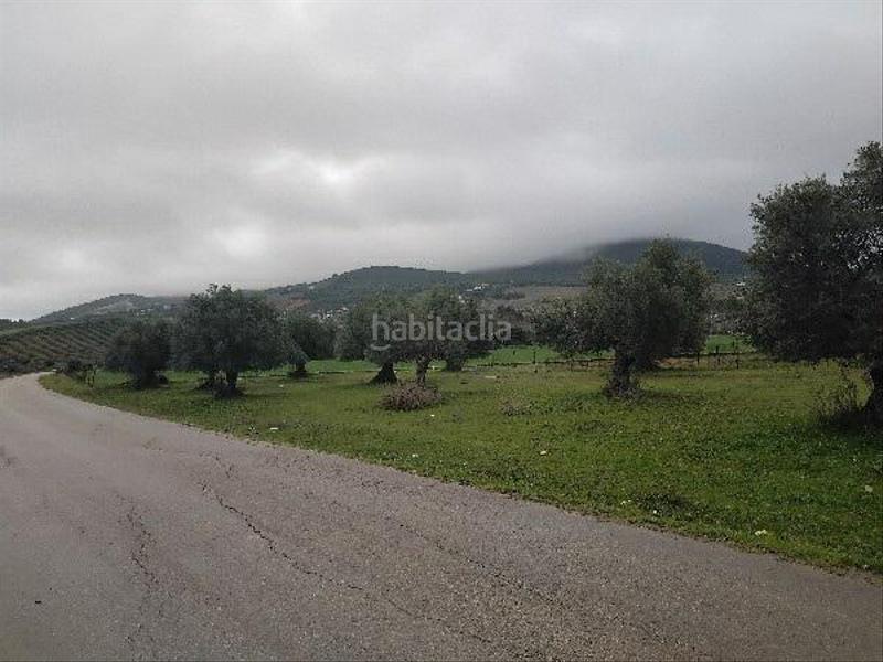 Foto 90f2a9d1-7cbf-45f4-a06c-f3be07ec7235. Wohngrundstück in Puerto Serrano