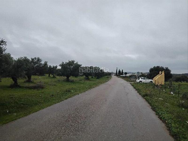 Foto d31101e4-8620-41c1-bde5-e280989fa736. Wohngrundstück in Puerto Serrano