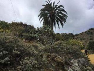 Finca rústica a Los chapines poligon 28. Terreno en venta