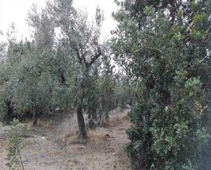 Proprit en Partida monterols mas baro polig 42. Terreno en venta
