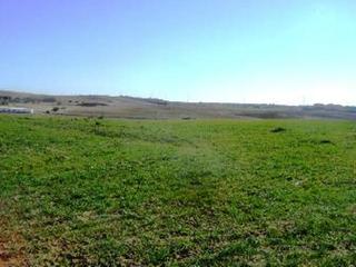 Terreno residencial en La roana, las angostillas y sendero del cojo, polig. 9 s/n. Terreno en venta