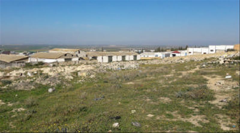 Foto 2cee4a72-6109-41ea-83a9-b3cb533b35c7. Terreny residencial a alcalá ue peri 1-a 1 a Osuna