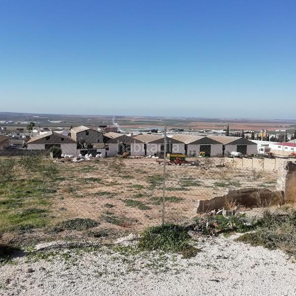 Foto efc9f322-4b29-4b08-95e3-447b5d10921b. Terreny residencial a alcalá ue peri 1-a 1 a Osuna