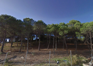 Terrain résidentiel à Pozo alicia 2. Terreno en venta
