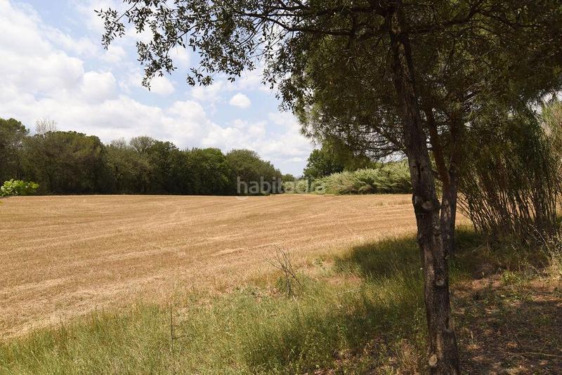 Foto 17da175b-4720-4a15-ba1a-89cee3dc0914. Finca rústica a les argelades polig.16 a Lliçà de Vall