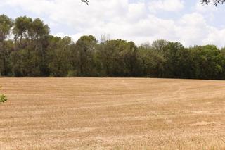 Finca rústica a Les argelades polig.16. Terreno en venta