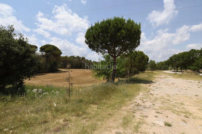 Foto 3a75e4e5-7cbc-4c90-b185-890dfdc53a29. Finca rústica a les argelades polig.16 a Lliçà de Vall