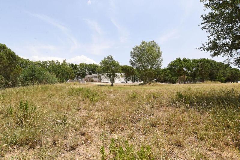 Foto 6541413b-bb02-4a3f-9b43-b745651d7e90. Finca rústica a les argelades polig.16 a Lliçà de Vall