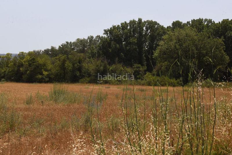 Foto 784eb42b-a9ce-4e51-868c-c2f713783a4f. Finca rústica a les argelades polig.16 a Lliçà de Vall