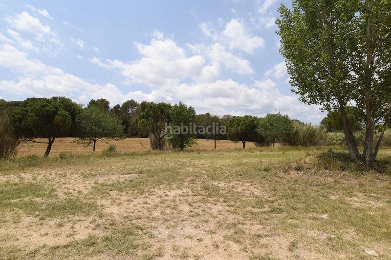 Foto b8a36e24-2d2a-4a85-9c0e-c219b89d8c45. Finca rústica a les argelades polig.16 a Lliçà de Vall