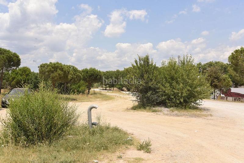 Foto c81dd006-b669-4e00-80e9-01285af52122. Finca rústica a les argelades polig.16 a Lliçà de Vall