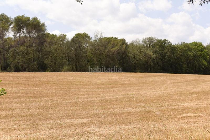 Foto d05b2844-24df-4d75-86f1-9e6e4a44e273. Finca rústica a les argelades polig.16 a Lliçà de Vall