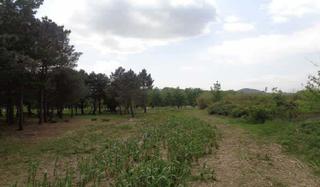 Terreny residencial  Ppr-5 joan maragall. Terreno en venta