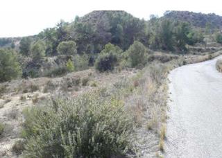 Finca rústica a Los zarates poligono 4 parcela 113 y 114 s/n. Terreno en venta