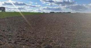 Landgut in Llano cobo polig 2. Terreno en venta