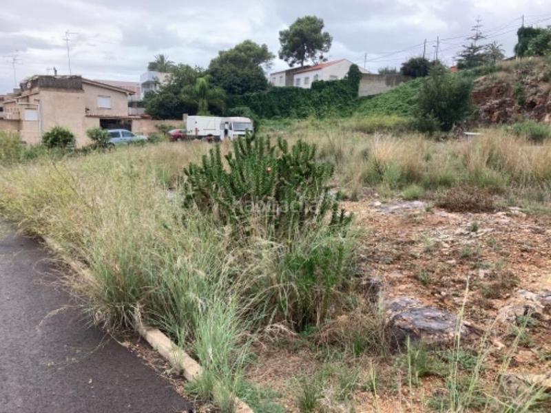Foto fc5e9fd0-80a3-462c-b7e9-488bb42c0590. Terreno residenziale in alonso de ojeda 29 in Urbanitzacions i Pedanies Nord Alzira