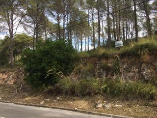 Terrain résidentiel à Principal 27. Terreno en venta