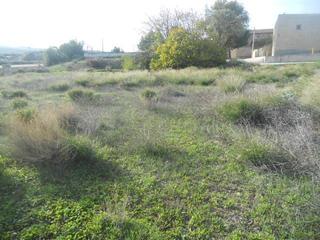 Terrain résidentiel  Partida el paradero - pol. 303. Terreno en venta