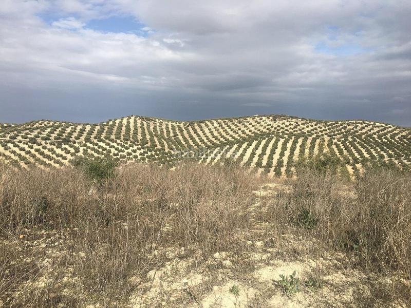 Foto 4d81c523-b1b9-4863-a91c-f88357ede2e4. Fondo rustico in Jauja Lucena