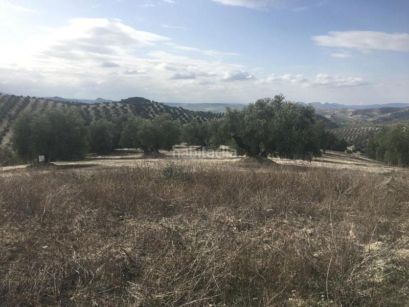 Foto 778f07bc-86f5-4a7e-8c77-8ceb355a4500. Fondo rustico in Jauja Lucena