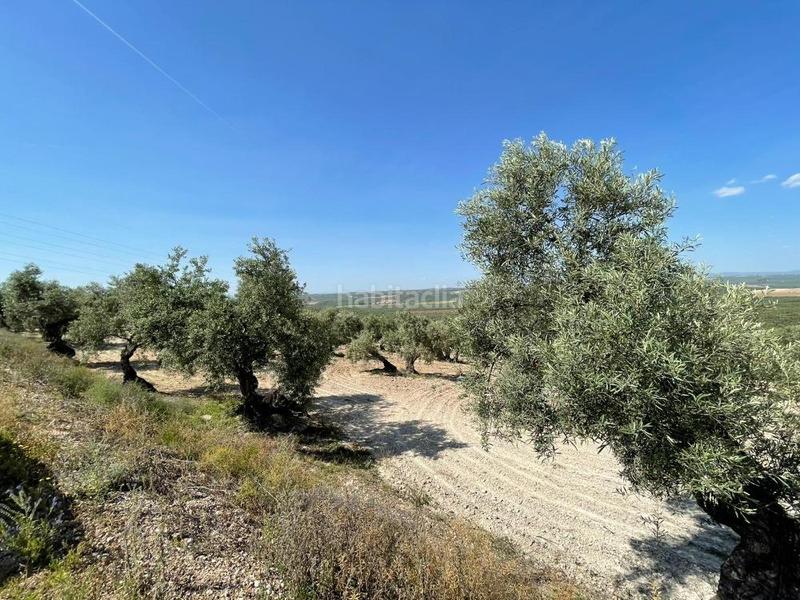 Foto 7b633ce1-bbef-432f-a709-249575c793a8. Fondo rustico in Jauja Lucena