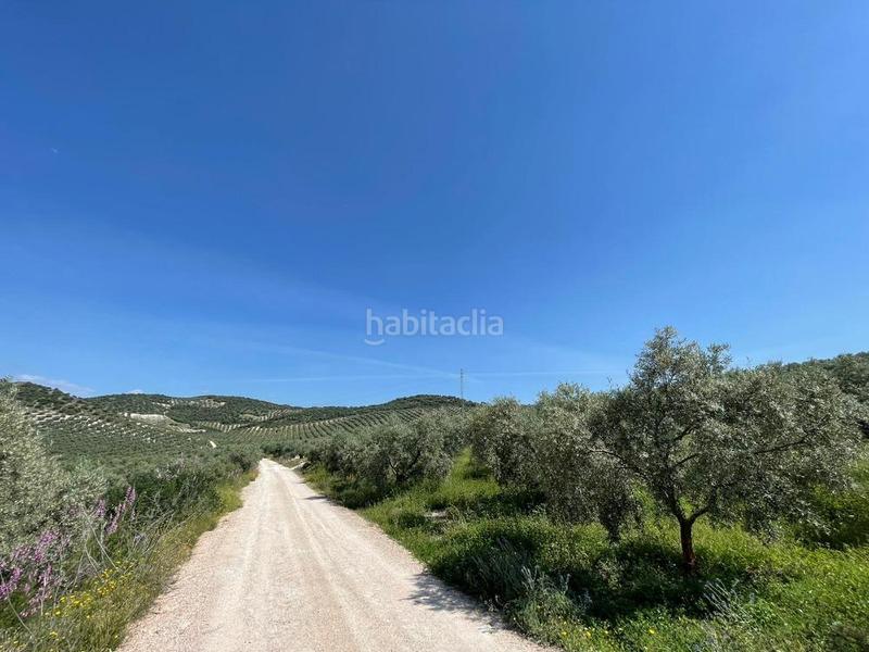 Foto d9c6073f-4905-462b-9cfb-63d6fecb13cb. Fondo rustico in Jauja Lucena