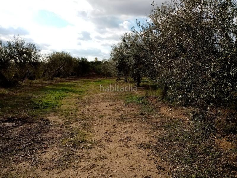 Foto 08967bdb-0164-4a14-a5c8-5d3ac2f0e3ee. Finca rústica a Arahal