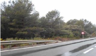 Finca rústica a Partida losas polig 6. Terreno en venta