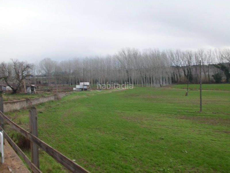 Foto bf34443a-d505-490e-a304-dddddbf49105. Terreno residencial terreno en venta en Maçanet de la Selva poble Maçanet de la Selva