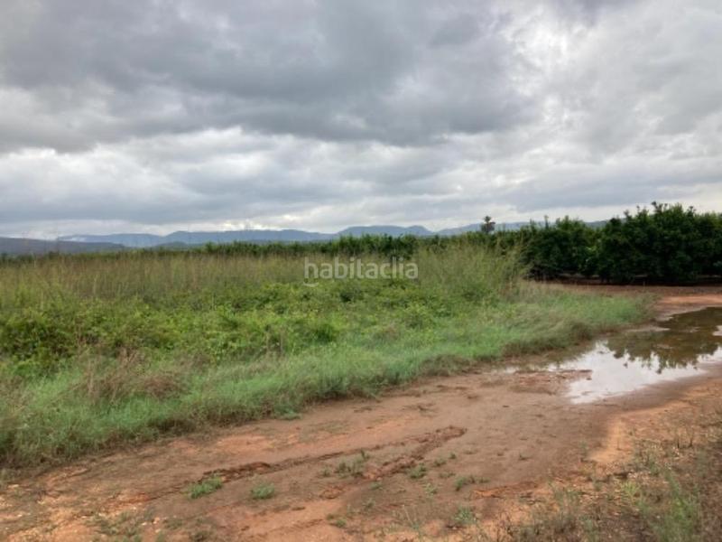 Foto 584bbcdd-f76a-446a-a867-e91ef8b81858. Finca rústica terreno en venta en Rafelguaraf