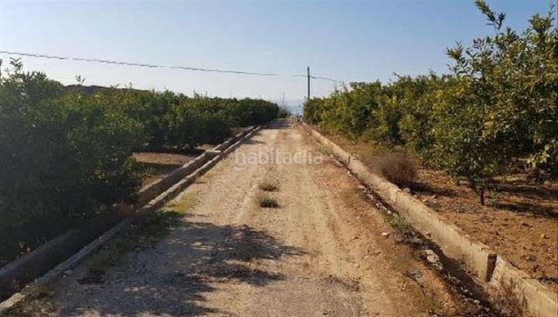 Foto d3aa1620-83bc-4842-af0c-7779e6cd6a8d. Finca rústica terreno en venta en Rafelguaraf