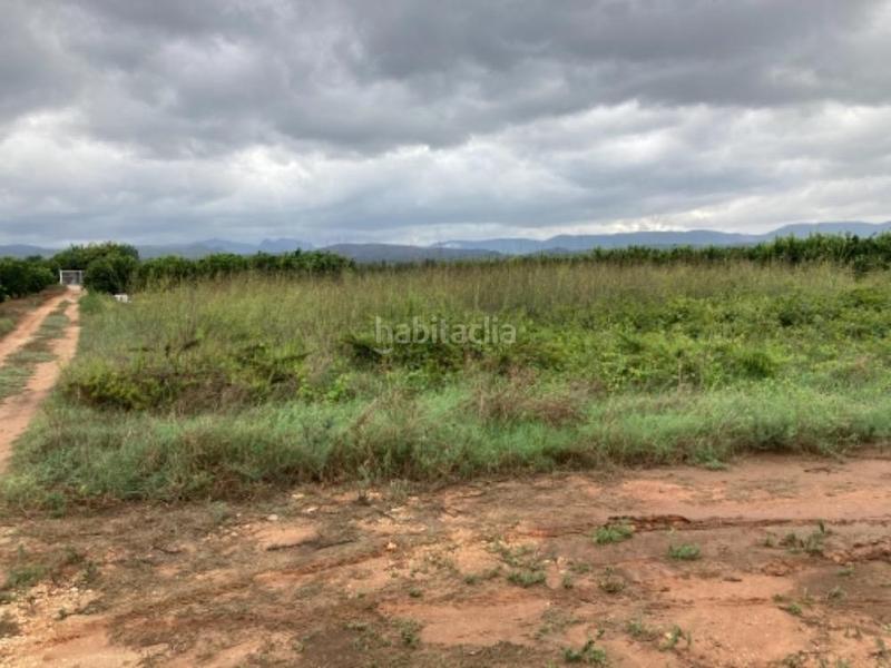 Foto d75506fc-01c7-42ac-8513-115d1f6f02bd. Finca rústica terreno en venta en Rafelguaraf