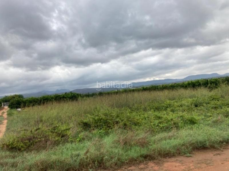Foto eb53b41d-3100-4fa9-b568-0a210cddf7fe. Finca rústica terreno en venta en Rafelguaraf