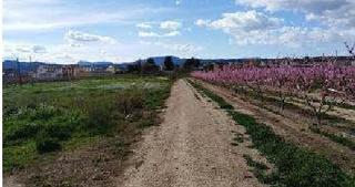 Terreny residencial a Calvari 43. Terreno en venta