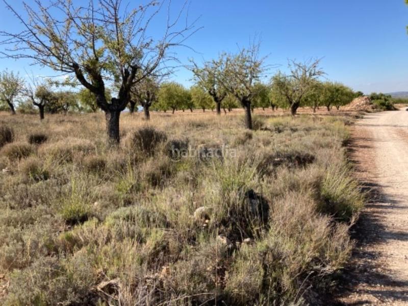 Foto 1fa35087-9876-4d7e-8926-956bd66d7eb5. Finca rústica a Utiel