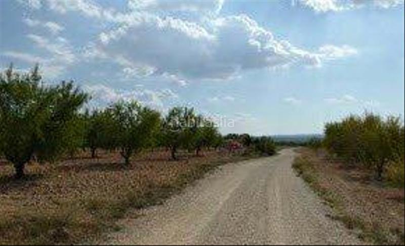 Foto 39e08608-0e29-4604-8816-d501afe6bd6d. Finca rústica a Utiel