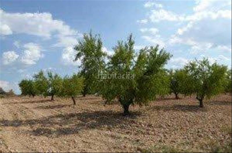 Foto 99236d43-a38d-4e6a-96ea-b4e41e461266. Finca rústica a Utiel